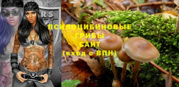 мяу мяу кристалл Алексин