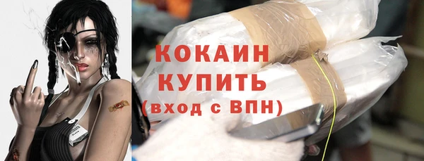 прущий лед Алзамай