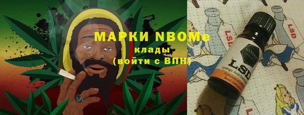 прущий лед Алзамай